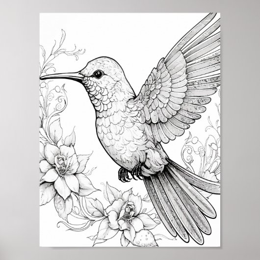 Hummingbird Adult Coloring Poster (Vorne)