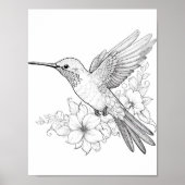 Hummingbird Adult Coloring Poster (Vorne)