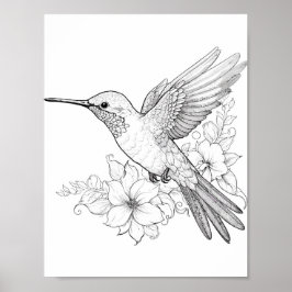 Hummingbird Adult Coloring Poster