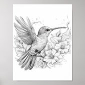 Hummingbird Adult Coloring Poster (Vorne)