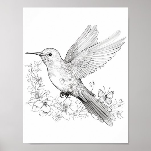 Hummingbird Adult Coloring Poster (Vorne)