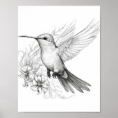 Hummingbird Adult Coloring Poster (Vorne)