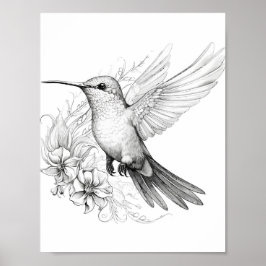 Hummingbird Adult Coloring Poster