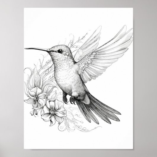 Hummingbird Adult Coloring Poster (Vorne)