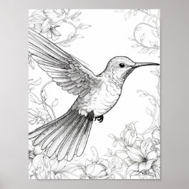 Hummingbird Adult Coloring Poster
