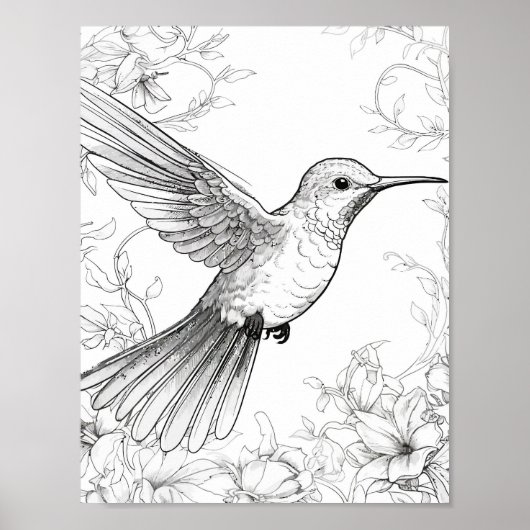 Hummingbird Adult Coloring Poster (Vorne)