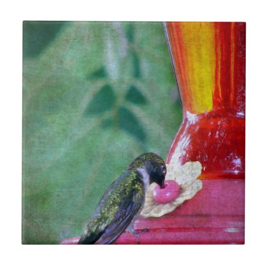 Hummingbird am Feeder Fliese (Vorderseite)
