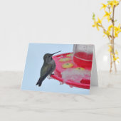 Hummingbird am Frozen Feeder - Rahmenartenkarten Karte (Gelbe Blume)