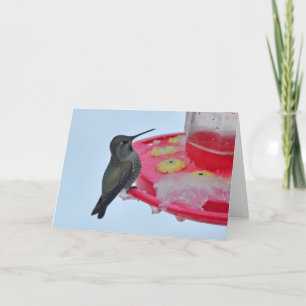 Hummingbird am Frozen Feeder - Rahmenartenkarten Karte