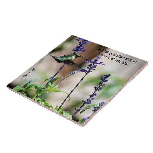 Hummingbird an der Blume w/Scripting Verse Fliese (Seite)