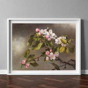 Hummingbird and Apple Blossoms  Poster