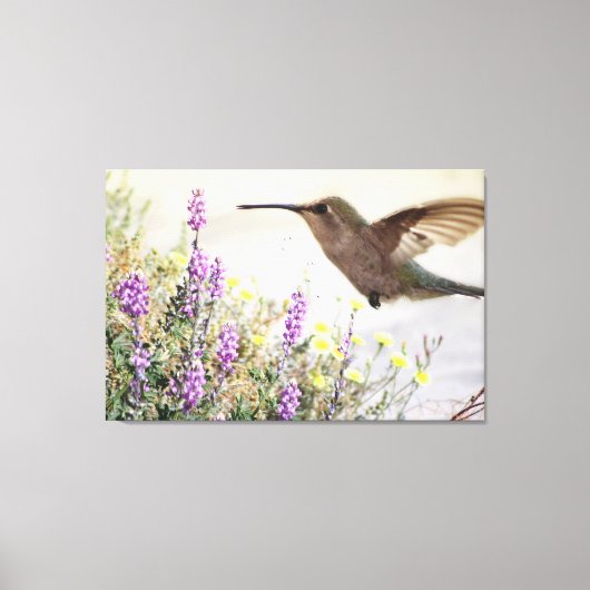 Hummingbird and Wildflowers Digital Art Leinwanddruck (Vorderseite)