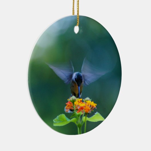 Hummingbird Angel Wings Ornament (Rechts)