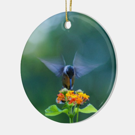 Hummingbird Angel Wings Ornament (Links)