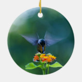 Hummingbird Angel Wings Ornament (Hinten)