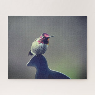 Hummingbird Anna Puzzle