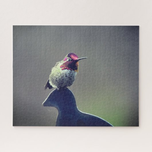 Hummingbird Anna Puzzle (Horizontal)