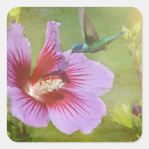 Hummingbird Ansammlung Nectar Stickers