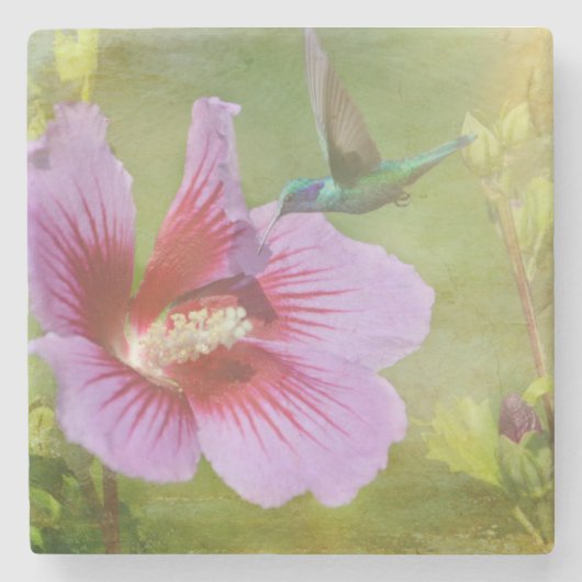 Hummingbird Ansammlung Nectar Stone Untersetzer (Vorderseite)