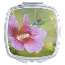 Hummingbird Ansammlung Nectar