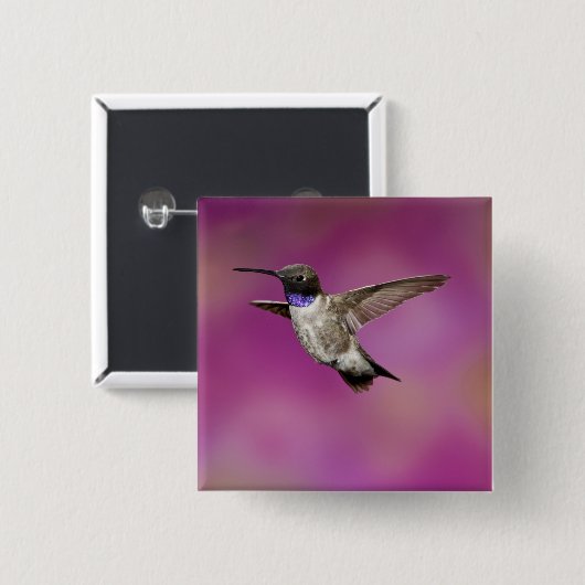 Hummingbird, Archilochus Button (Vorne & Hinten)