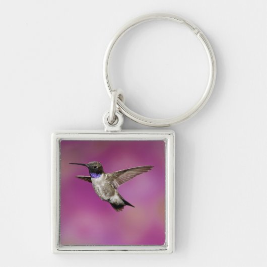 Hummingbird, Archilochus Schlüsselanhänger (Vorne)