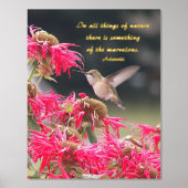 Hummingbird Aristoteles Philosophisches Zitat Foliendrucke (Vorderseite)