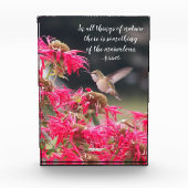 Hummingbird Aristoteles Philosophisches Zitat Fotoblock (Vorderseite)