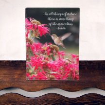 Hummingbird Aristoteles Philosophisches Zitat