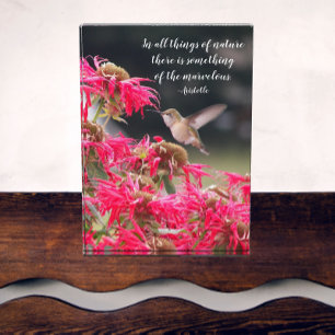 Hummingbird Aristoteles Philosophisches Zitat Fotoblock