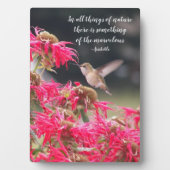 Hummingbird Aristoteles Philosophisches Zitat Fotoplatte (Vorderseite)