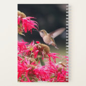 Hummingbird Aristoteles Philosophisches Zitat Notizblock (Rückseite)