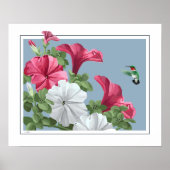 Hummingbird Art Poster (Vorne)