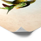 Hummingbird Artwork Nr. 15 Vintage Vogelkunst Poster (Ecke)