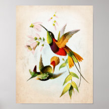 Hummingbird Artwork Nr. 15 Vintage Vogelkunst
