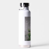 Hummingbird auf der Abzweigung der Blätter Trinkflasche (Rechts)