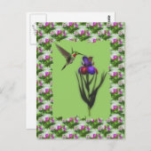 Hummingbird auf der Iris-Blume Postkarte (Vorne/Hinten)