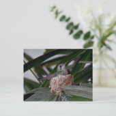 Hummingbird auf der Postkarte (Stehend Vorderseite)