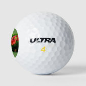 Hummingbird auf einem Golfball (Logo)
