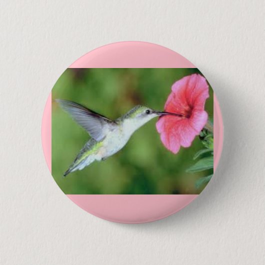 Hummingbird auf einem Round-Button Button (Vorderseite)