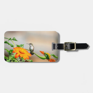 Hummingbird auf einer blühenden Pflanze Gepäckanhänger