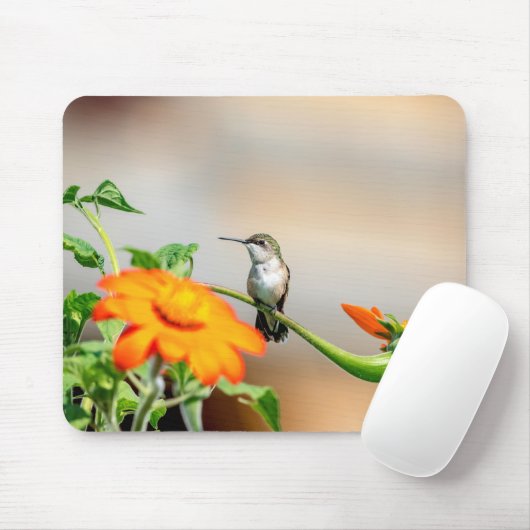 Hummingbird auf einer blühenden Pflanze Mousepad (Mit Mouse)