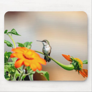 Hummingbird auf einer blühenden Pflanze Mousepad