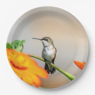 Hummingbird auf einer blühenden Pflanze Pappteller