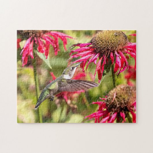 Hummingbird auf einer blühenden Pflanze Puzzle (Horizontal)