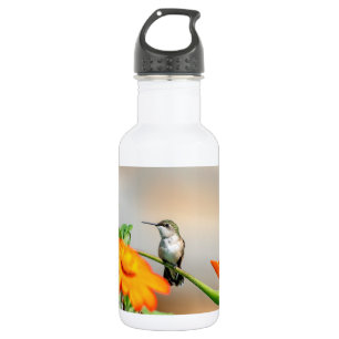 Hummingbird auf einer blühenden Pflanze Trinkflasche