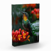 Hummingbird auf heller Blume Fotoblock (Links)