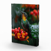 Hummingbird auf heller Blume Fotoblock (Rechts)