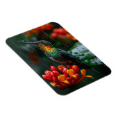 Hummingbird auf heller Blume Magnet (Rechte Seite)