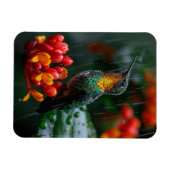 Hummingbird auf heller Blume Magnet (Horizontal)